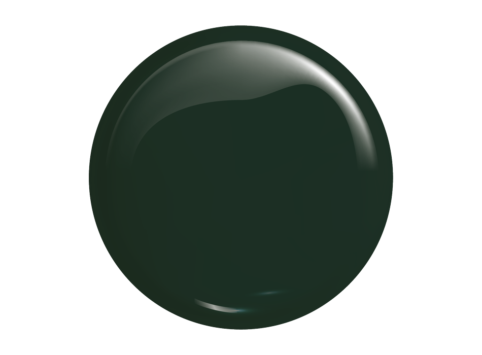 GEL POLISH 207 Dark Emerald - VICTORIA VYNN